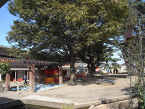 北本みなみ幼稚園