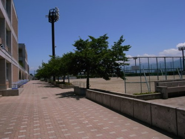 昭和町立常永小学校の画像3