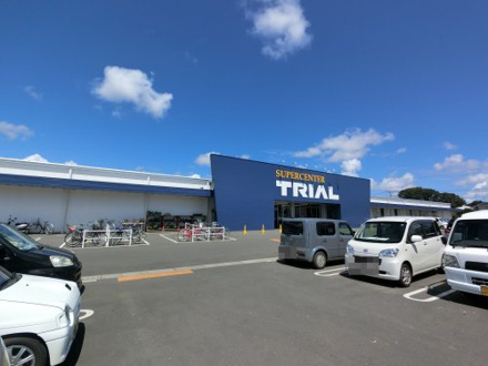  トライアル 八街店