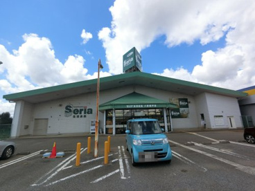  １００円ショップセリア八街榎戸店の画像1