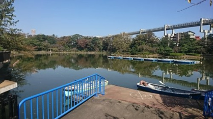 千葉公園の画像3