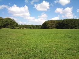 美浜公園緑地事務所の画像1