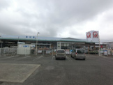 コメリハード&グリーン 下総店