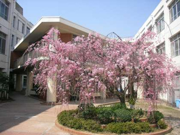 京都市立洛南中学校の画像1