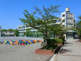 川口市立柳崎小学校