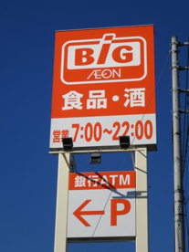 ザ・ビッグ 甲斐敷島店の画像1