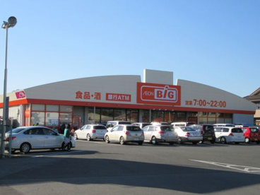 ザ・ビッグ 甲斐敷島店の画像2