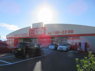 ザ・ビッグ 甲斐敷島店の画像3