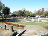 天沼弁天池公園