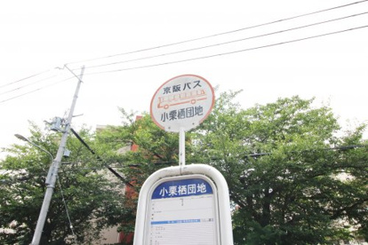 小栗栖団地停（京阪バス）の画像1