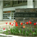 札幌市立山鼻南小学校