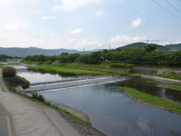 賀茂川の画像1