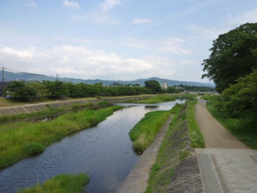 賀茂川の画像2