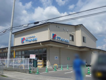 万代 樫原店