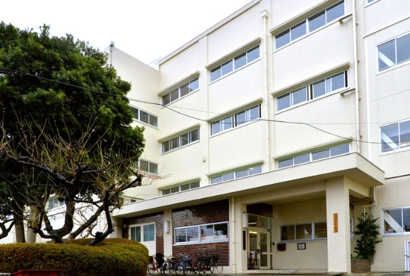 綱島東小学校の画像1
