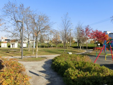 富丘五輪公園は自然が豊かな公園です!! 富丘五輪公園の画像4