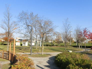 子供だけではなく大人も訪れたくなる公園です!! 富丘五輪公園の画像5