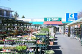 ホームセンターくろがねや成城店