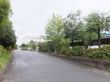 春日部市立大沼中学校の画像2