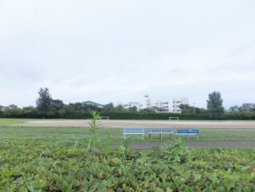 春日部市立市民体育館の画像2
