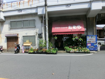 フラワーショップ　たむらの画像1