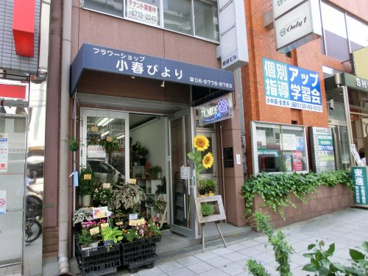 小春びよりの画像1