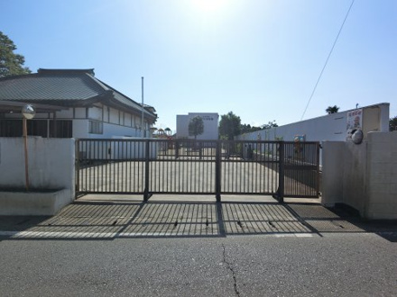 八街文化幼稚園