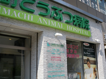 上本町どうぶつ病院の画像1