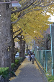 日本大学短期大学部 三島キャンパスの画像2