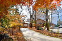三島市立公園 楽寿園