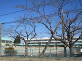 加須市立大桑小学校