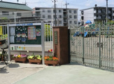 川口しらぎく幼稚園