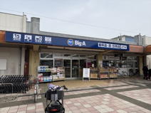 ビッグ・エー 新座団地店