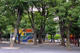 こどものひろば公園の画像