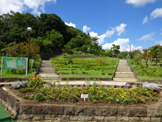 公園 おゆみ野南公園