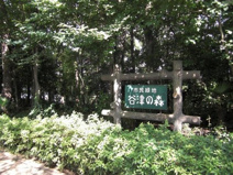 谷津の森公園
