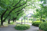 すみれが丘公園