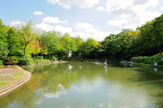 山崎公園 