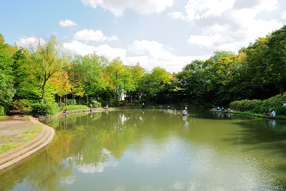 山崎公園 の画像1