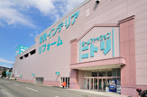 ニトリ 港北ニュータウン店 