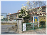 高崎市立塚沢小学校