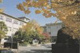 高崎市立新高尾小学校の画像