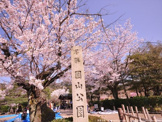 円山公園