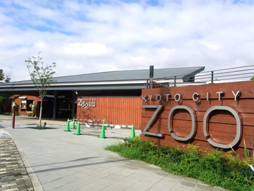 京都市動物園の画像5
