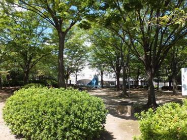 八潮中央公園の画像2