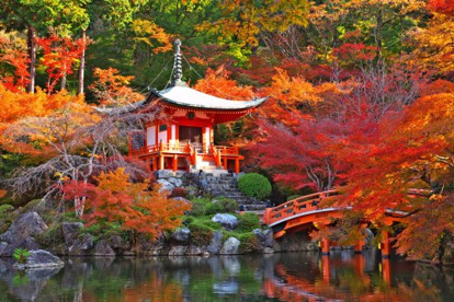 醍醐寺　黒門の画像2