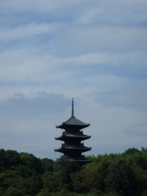 媚中国分寺の画像2