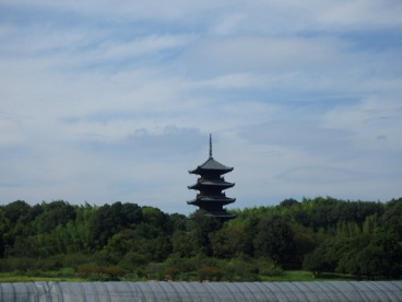 媚中国分寺の画像3