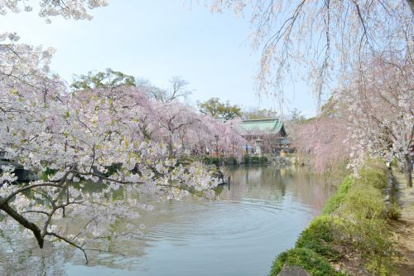 三嶋大社の画像2