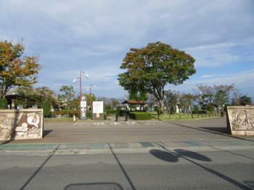 昭和町立図書館 の画像5